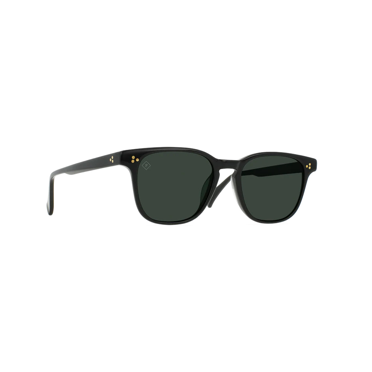 ALVEZ POLARIZED - RECYCLED BLACK / GREEN