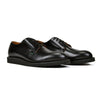 Pair of black leather shoes on a white background