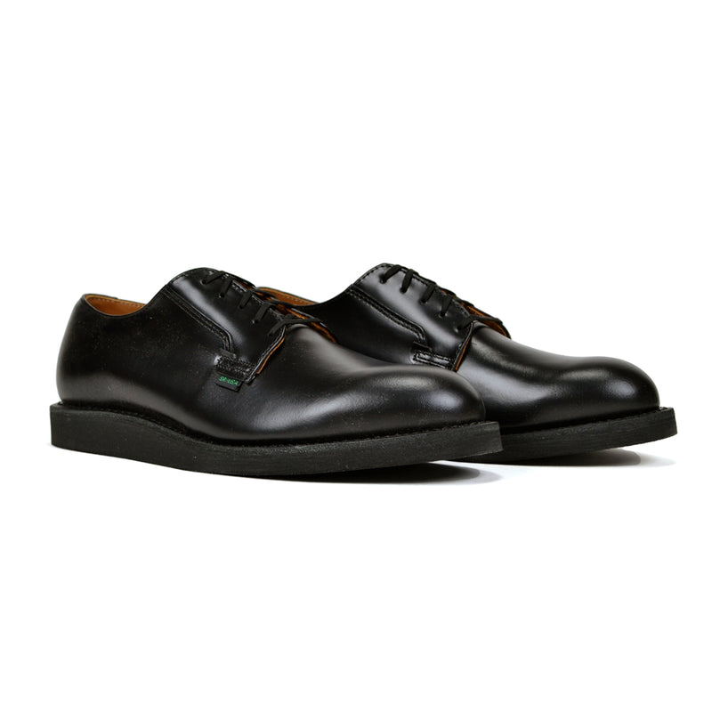 Pair of black leather shoes on a white background