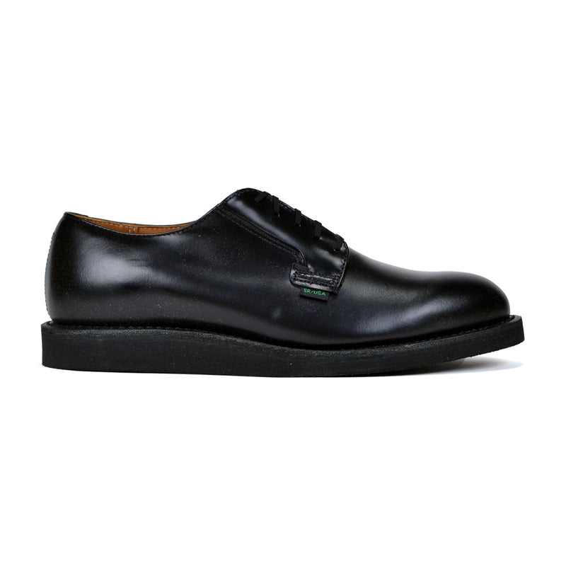 Pair of black leather shoes on a white background